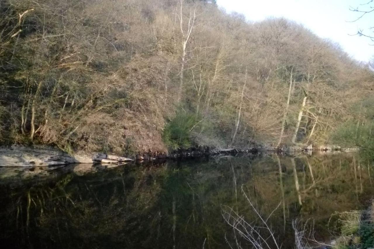 Chalet Siesta Is Rust & Natuur In Durbuy - Barvaux-Sur-Ourthe Bagian luar foto