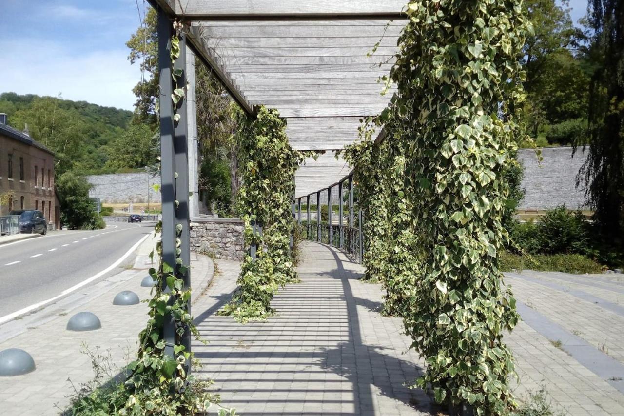 Chalet Siesta Is Rust & Natuur In Durbuy - Barvaux-Sur-Ourthe Bagian luar foto