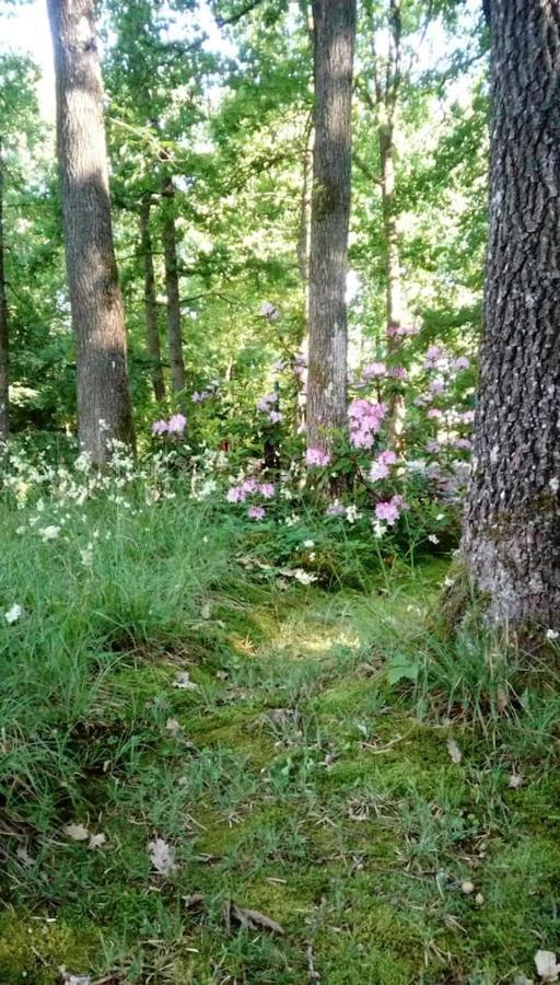 Chalet Siesta Is Rust & Natuur In Durbuy - Barvaux-Sur-Ourthe Bagian luar foto